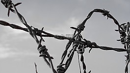 電線,籬笆,鐵絲網(wǎng)
