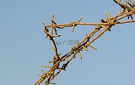 電線,籬笆,鐵絲網(wǎng)