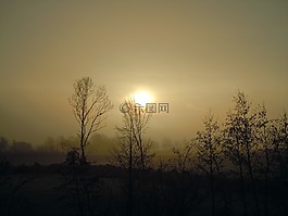 晨霧,太陽(yáng),背光