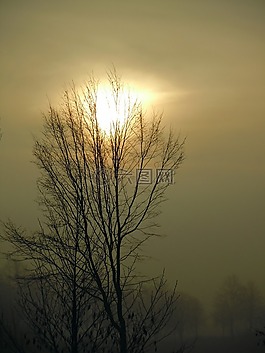 晨霧,太陽(yáng),背光