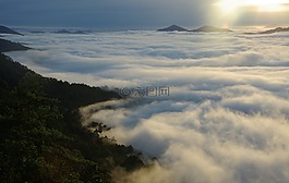 朦胧,薄雾,景观