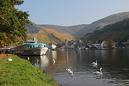 mosel,河,萨克森