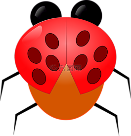 瓢蟲(chóng),動(dòng)物,昆蟲(chóng)