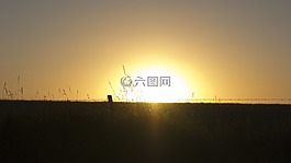 日落,籬笆,原野