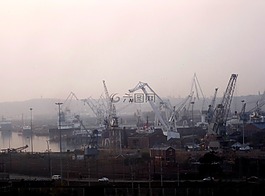 清晨,日出,雾