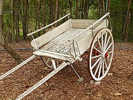 車,購(gòu)物車,馬