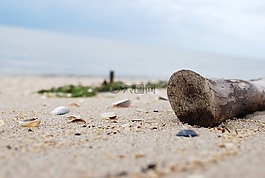 漂流物,北海,玉
