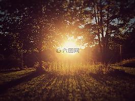 日落,瑞士,abendstimmung