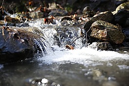 性質(zhì),河,流