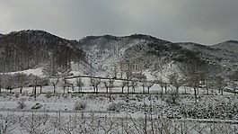 冬季,水墨畫,景觀