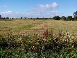 田低,oudenbosch,自然保护区