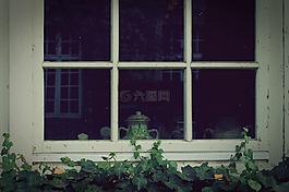 窗口,常春藤,墻