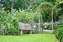 夏天花園,花園長(zhǎng)凳,綠色草坪