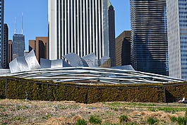 芝加哥,伊利諾伊州,城市