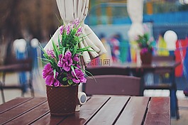 鮮花,咖啡廳,壺