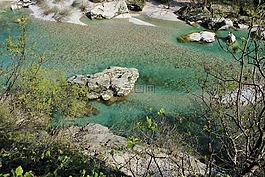 水,natisone 河,卢卡 · 甜高粱