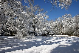 雪,原野,春