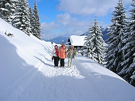 冬天,雪,zafernahütte