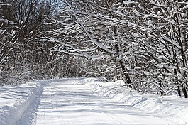冬天,雪,景區(qū)