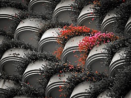 黑,白,粉紅色