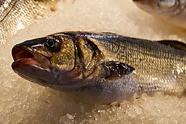 吃,魚,海鮮