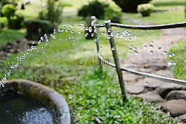 澆水,水滴,滴