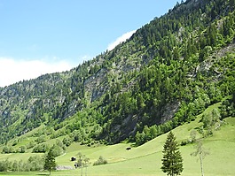 奧地利,山,草地