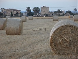 稻草包,干草捆,字段