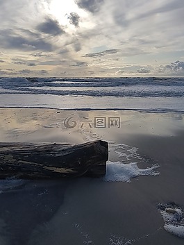 木,沙,海灘