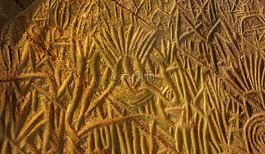 petroglyph,古代,洞穴