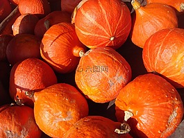 萬圣節(jié),南瓜,橙色