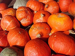 萬圣節(jié),南瓜,橙色