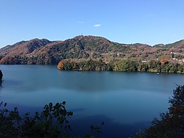 視圖,湖,自然