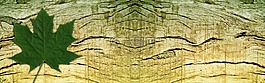 橫幅,標(biāo)頭,木