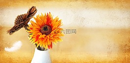 干花,德卡,鲜花