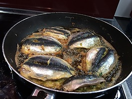 魚(yú),泛,南斯拉夫聯(lián)盟共和國(guó)