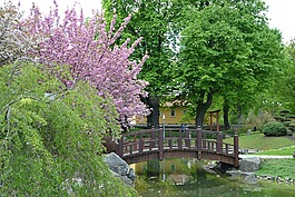壞langensalza,櫻花,日本花園