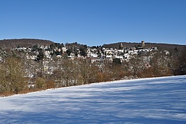 altweilnau,村,德國