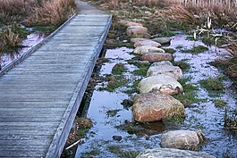 選擇,橋,踏腳石