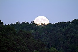 滿月,傍晚的天空,月光