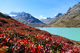 水库,坝,silvretta