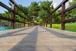 桥,公园,湖