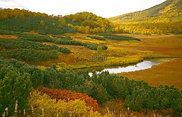 湖,山,苔原