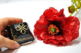 orgone,金字塔,紅色的花