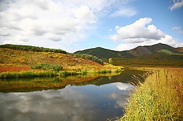 湖,山,苔原