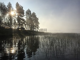 早晨,霧,島