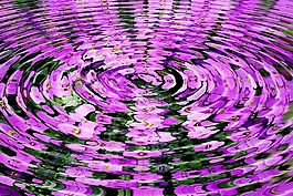 波,鮮花,水
