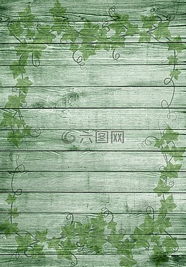 在木材上,綠色,性質(zhì)