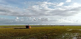 自然,景觀,船