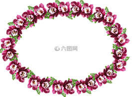 幀,邊境,蘭花